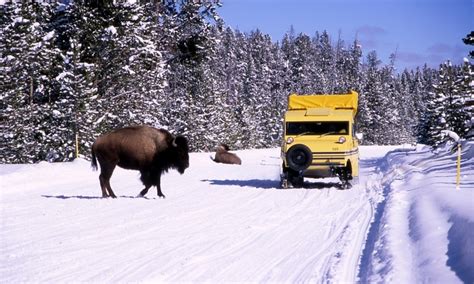 caravan yellowstone|Yellowstone Park Vacations Fully Guided 